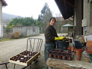 vente directe à la ferme